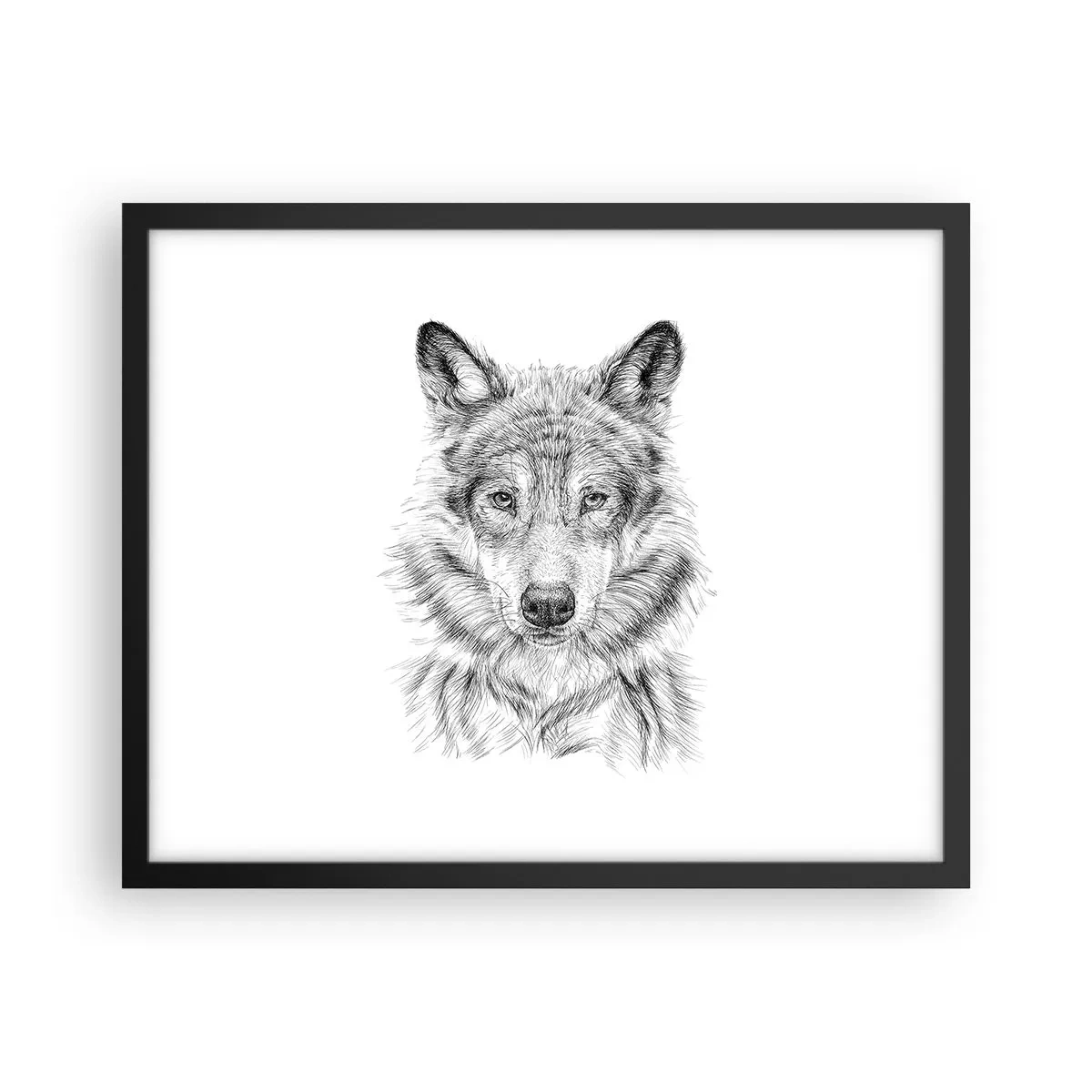 Plakát v černém rámu - Rozený vůdce - 50x40 cm