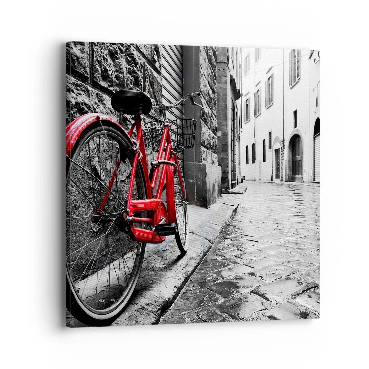 Obraz na plátně - Skutečná krása nestárne - 40x40 cm