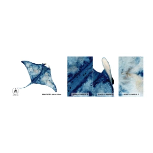 Vzor Fototapety Samolepicí Deluxe Sticker - Život v modři - rejnok, Ryba, Přímořský styl - 100x30 cm