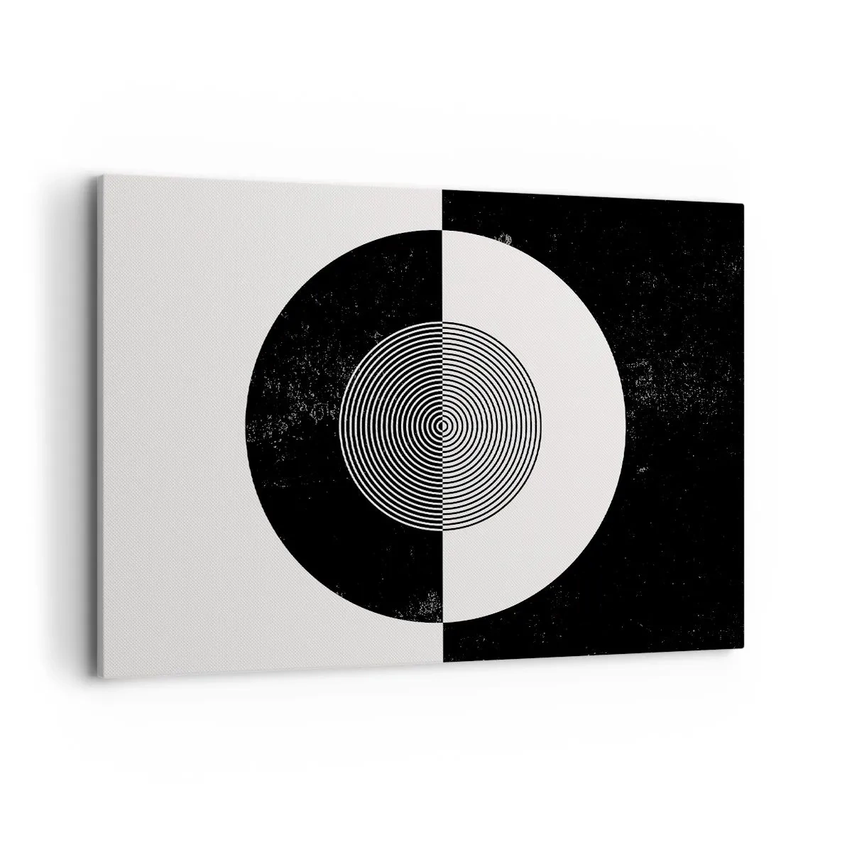 Obraz na plátně - Harmonie v černé a bílé - 100x70 cm