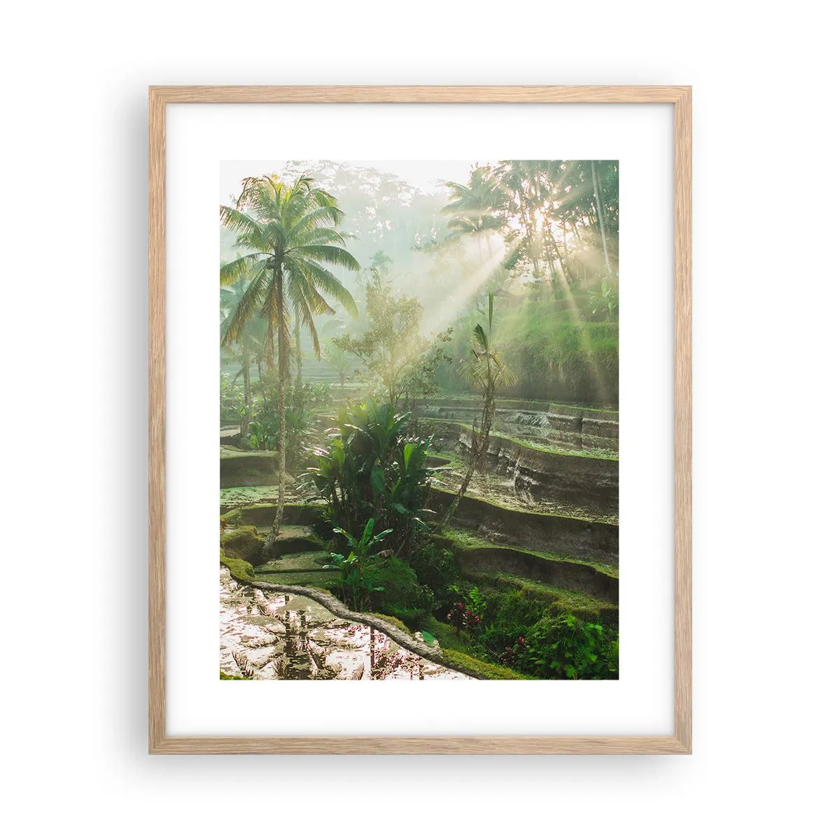 Plakát v rámu světlý dub - Vyrůstát na slunci - 40x50 cm