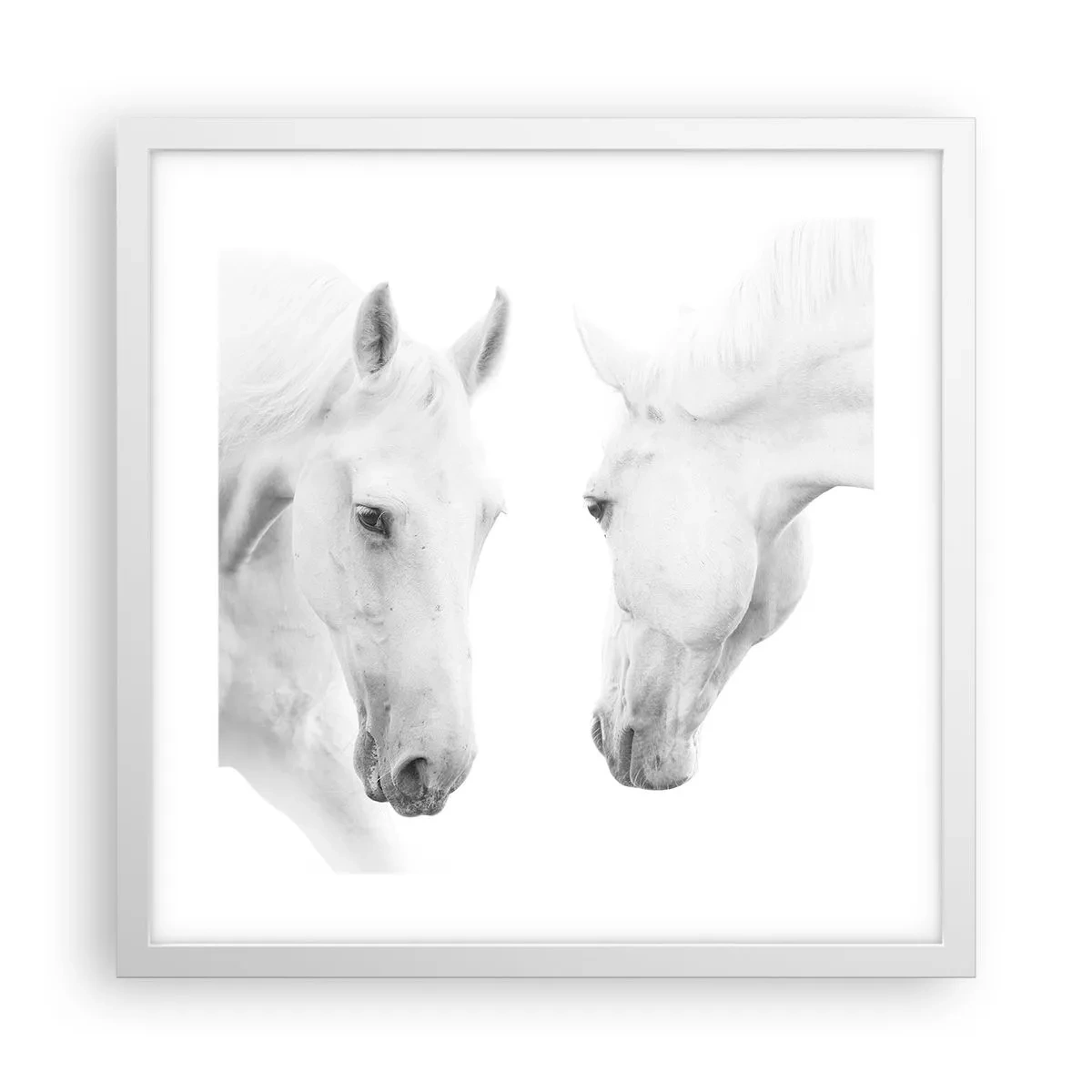 Plakát v bílém rámu - Je to přátelství…? - 40x40 cm