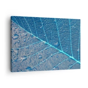 Obraz na plátně - List v odstínech modré s kapkami vody - 70x50cm - Život v modři - Moderní nástěnná dekorace do obývacího pokoje a ložnice ARTTOR