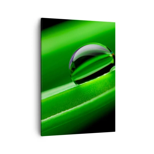 Obraz na plátně - Život z blízka - 50x70 cm