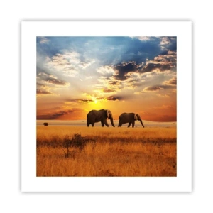 Plakát - Rodinná procházka - 40x40 cm