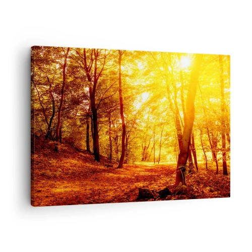 Obraz na plátně - Podzimní mýtina ve zlatavém slunci s lesní cestou - 70x50cm - Ke zlaté mýtině - Moderní nástěnná dekorace do obývacího pokoje a ložnice ARTTOR