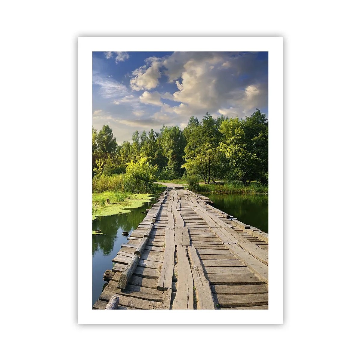 Plakát - Léto, léto všude - 50x70 cm