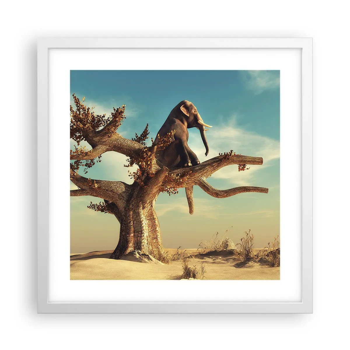 Plakát v bílém rámu - Nový úhel pohledu - 40x40 cm