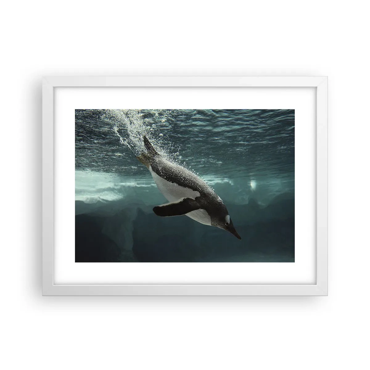 Plakát v bílém rámu - Vítejte v mém světě - 40x30 cm