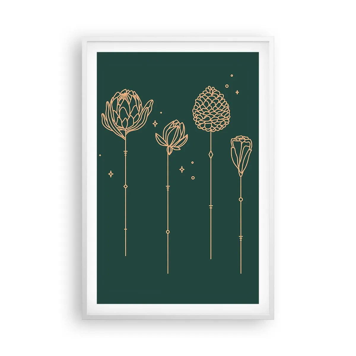 Plakát v bílém rámu - Bylinky - 61x91 cm