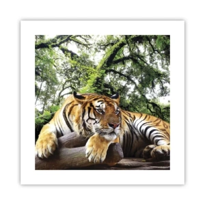 Plakát - S úctou - 40x40 cm