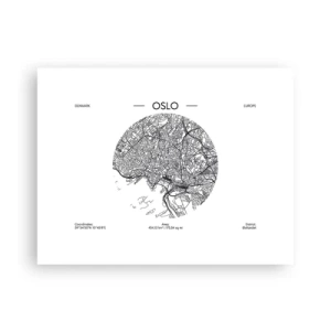 Plakát - Anatomie Osla - 40x30 cm