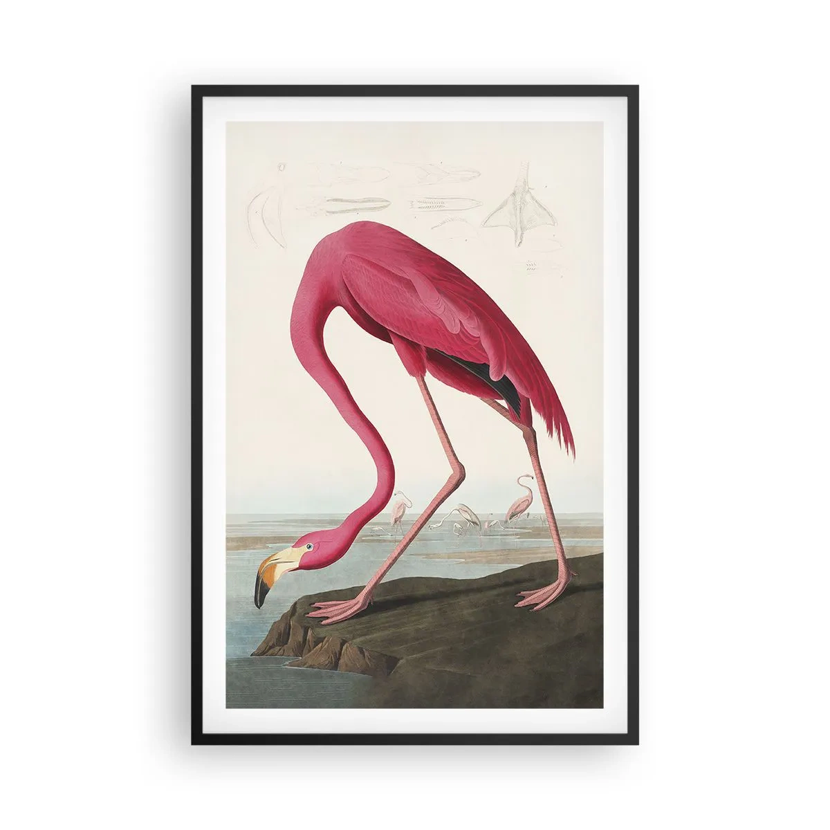 Plakát v černém rámu - Úžasná stvůra - 61x91 cm