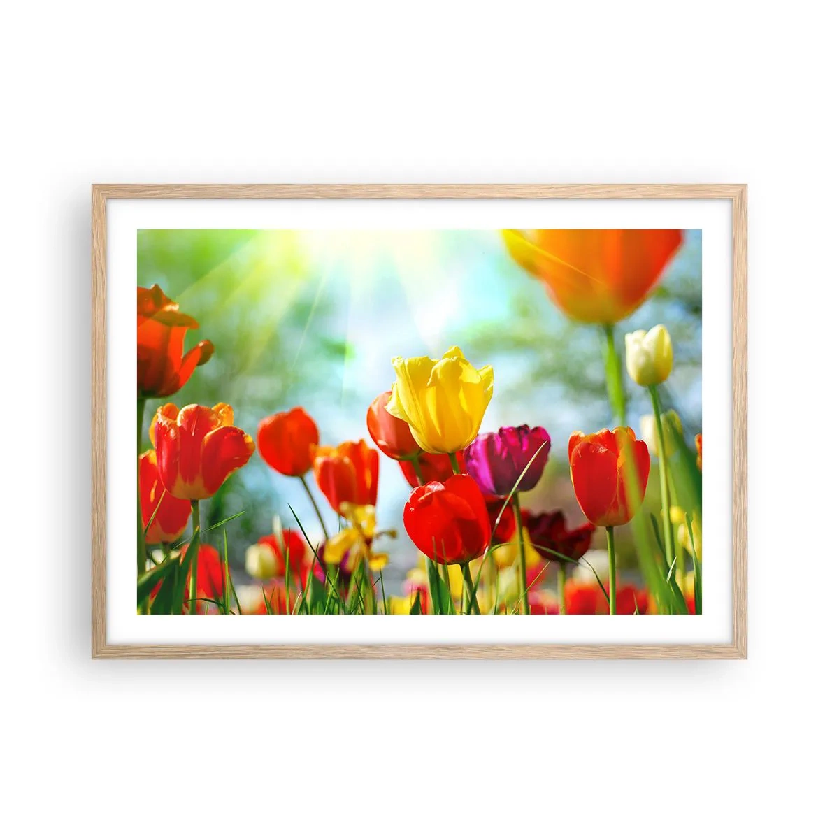 Plakát v rámu světlý dub - Všechny barvy slunce - 70x50 cm