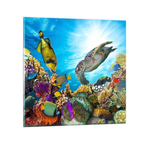Obraz na skle - Korálová promenáda - 60x60 cm