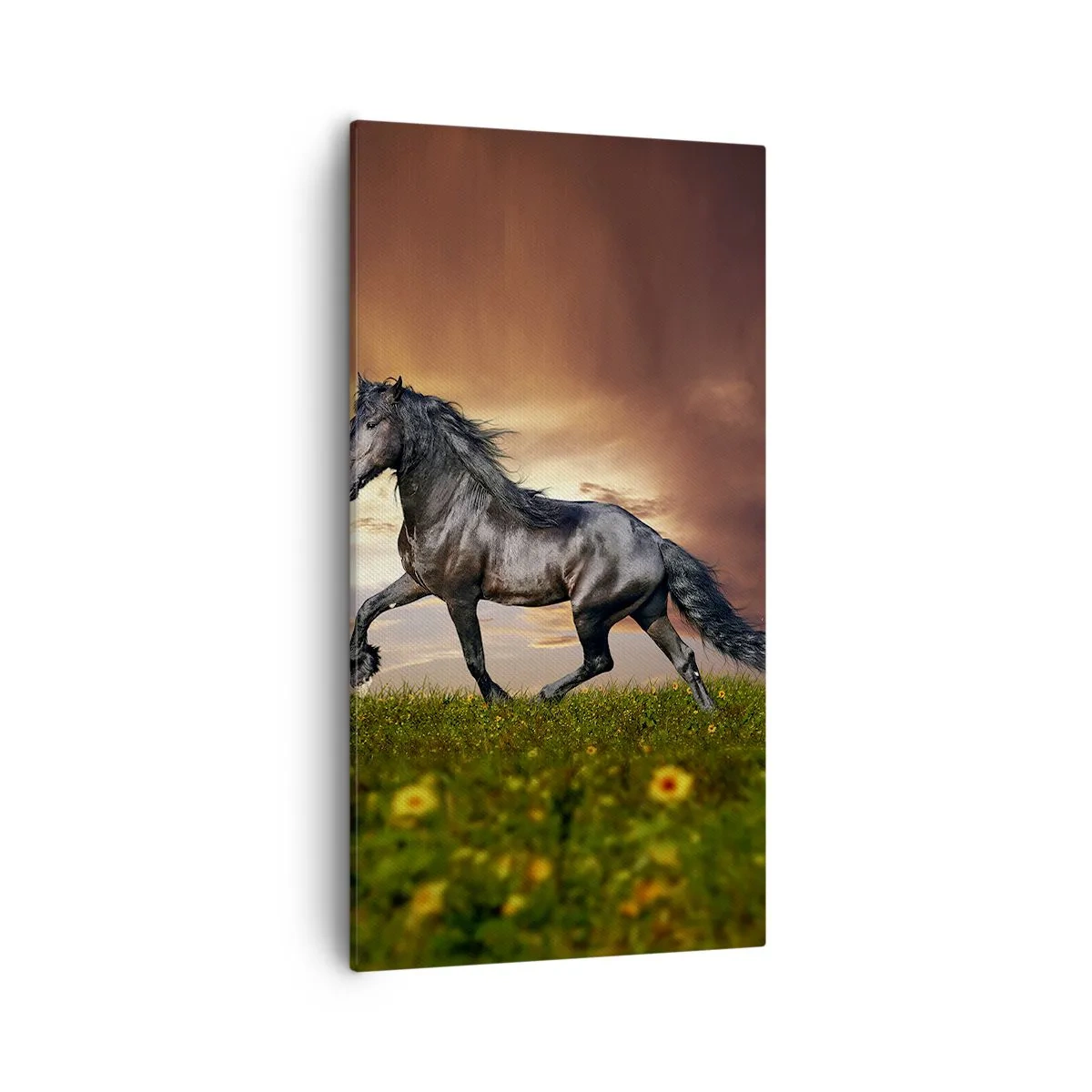 Obraz na plátně - Černý kníže - 55x100 cm