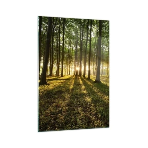 Obraz na skle - Fotografie všech jar - 70x100 cm