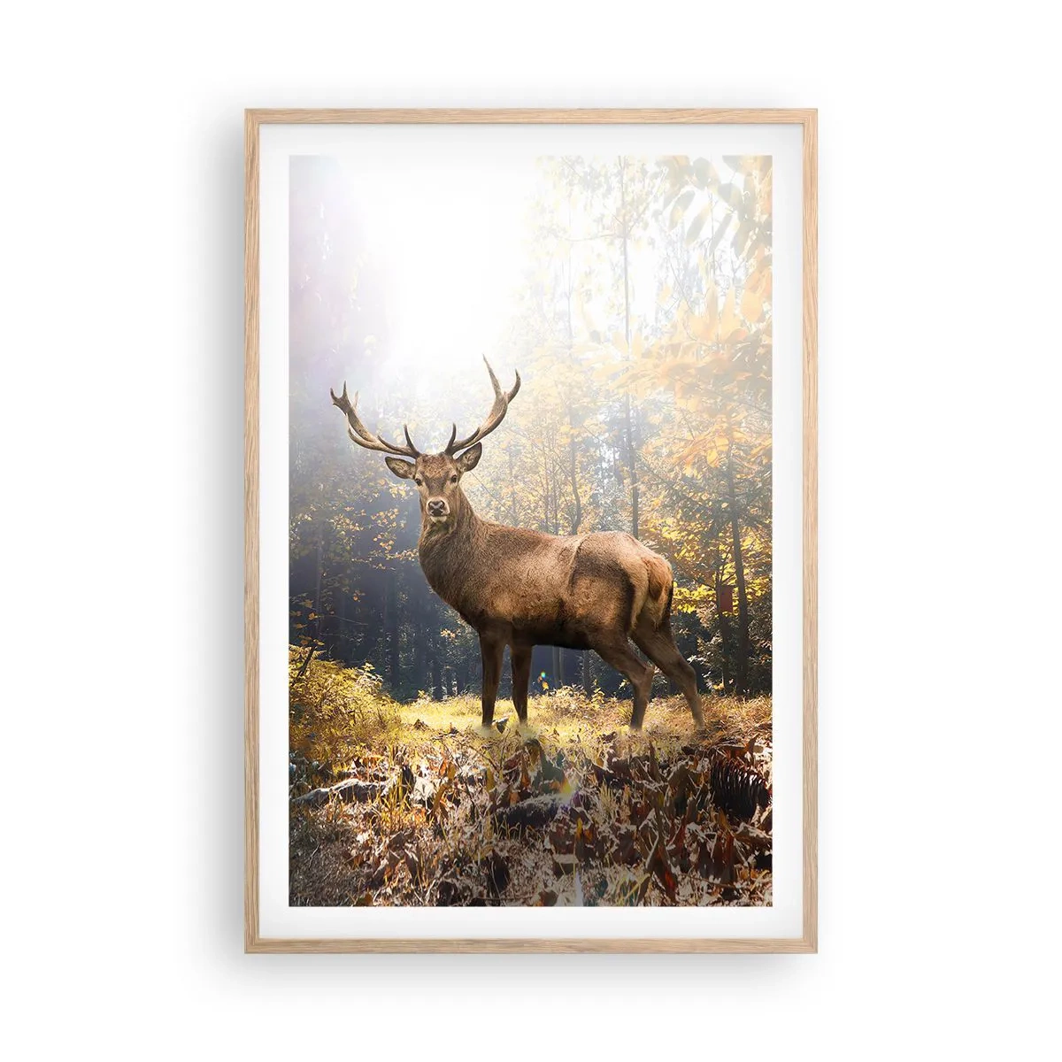 Plakát v rámu světlý dub - Plné důstojnosti - 61x91 cm