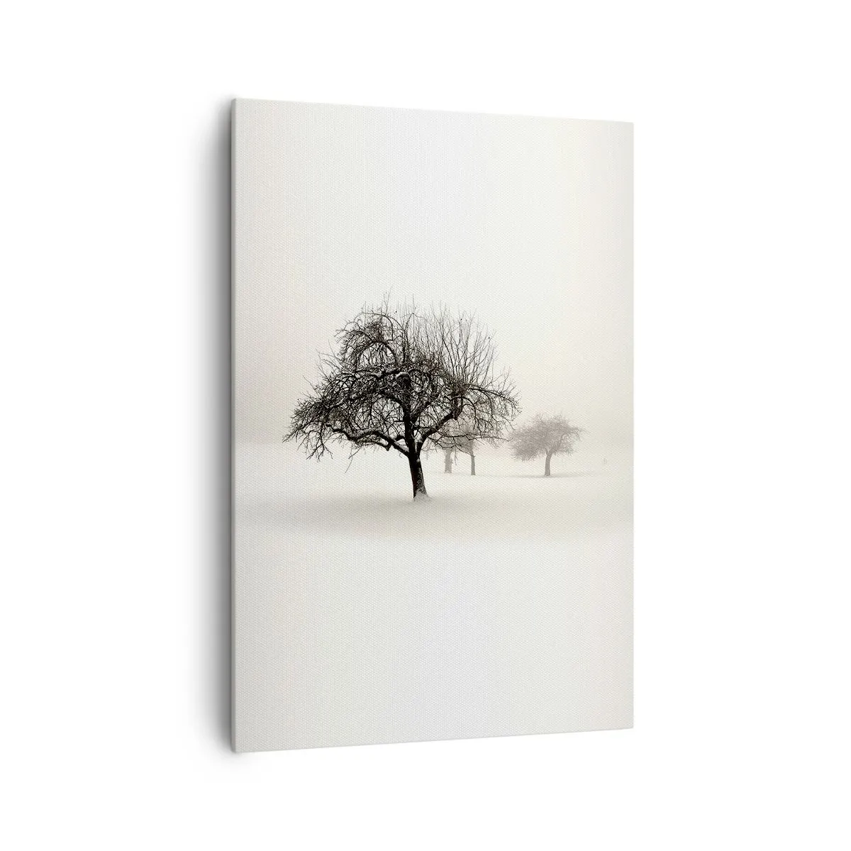 Obraz na plátně - Zimní sen - 70x100 cm