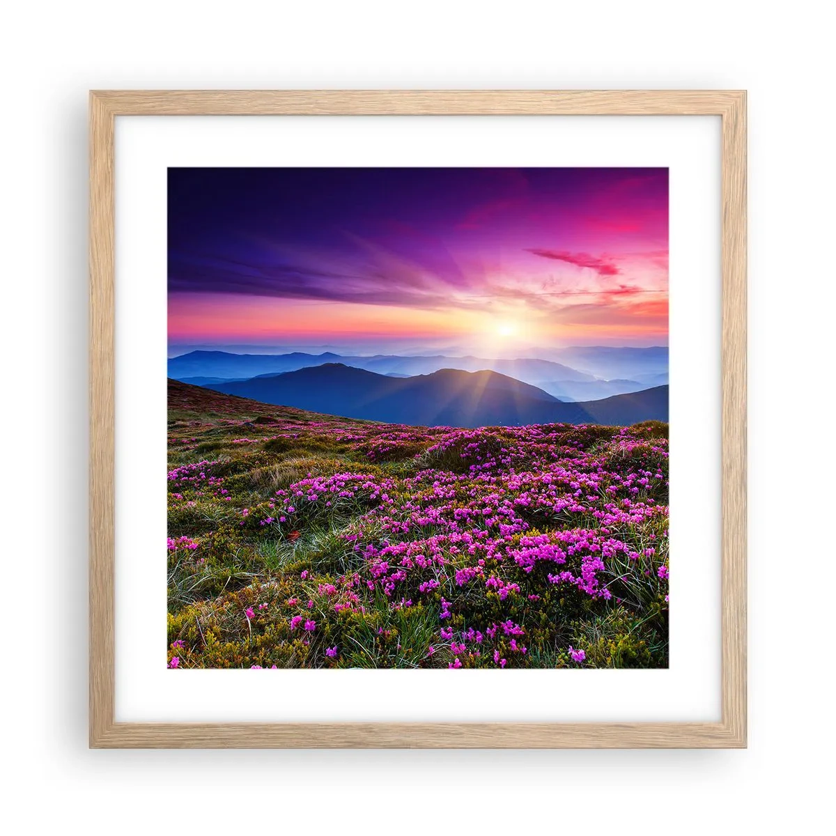Plakát v rámu světlý dub - Zavoněly svěží pupeny bylinek z obilných polí - 40x40 cm