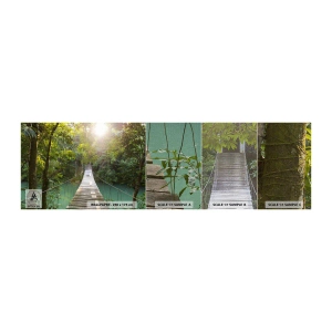 Vzor Fototapety Premium Canvas - Nad azurovou vodou do azurového lesa - Krajina, Džungle, Dřevěný most - 100x30 cm