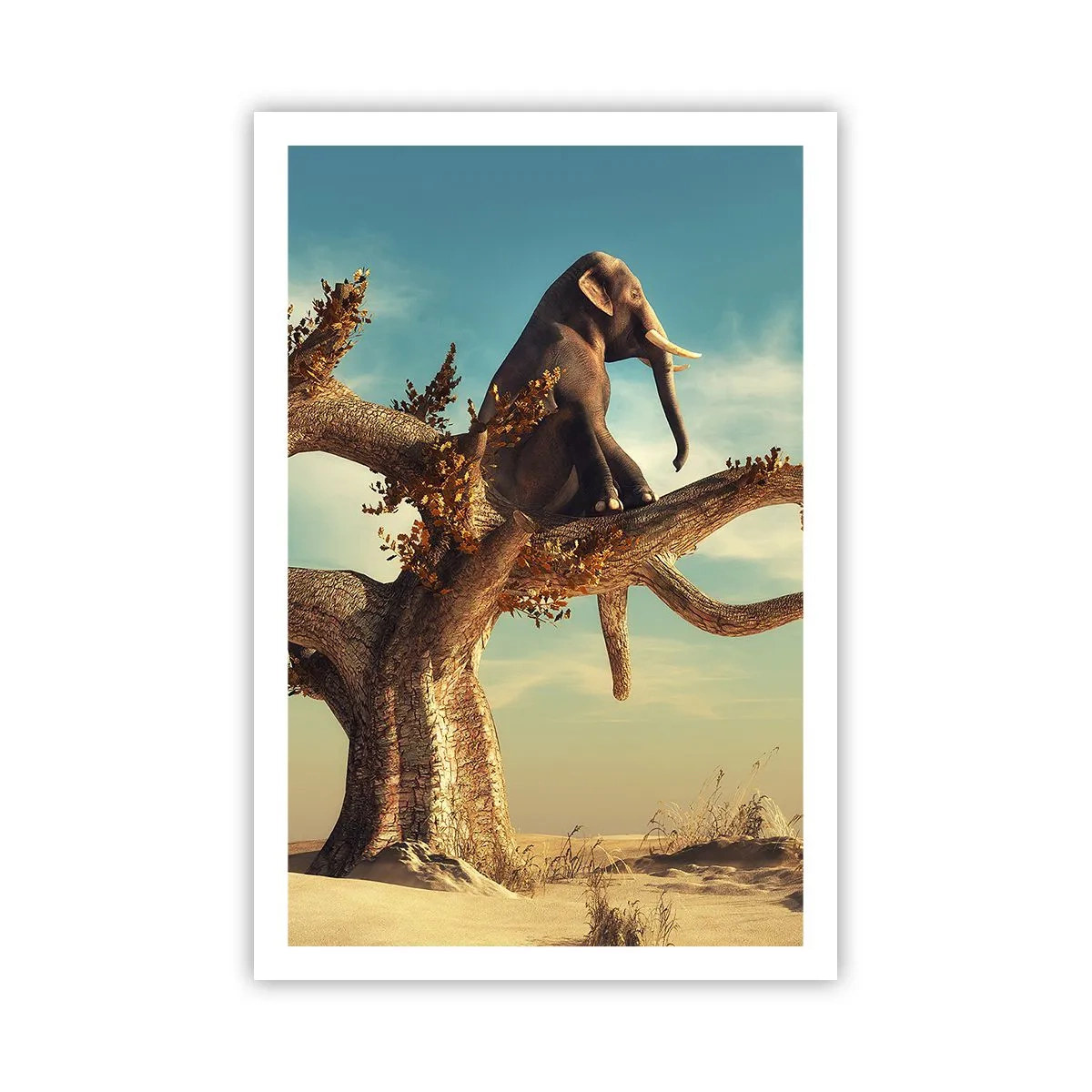 Plakát - Nový úhel pohledu - 61x91 cm