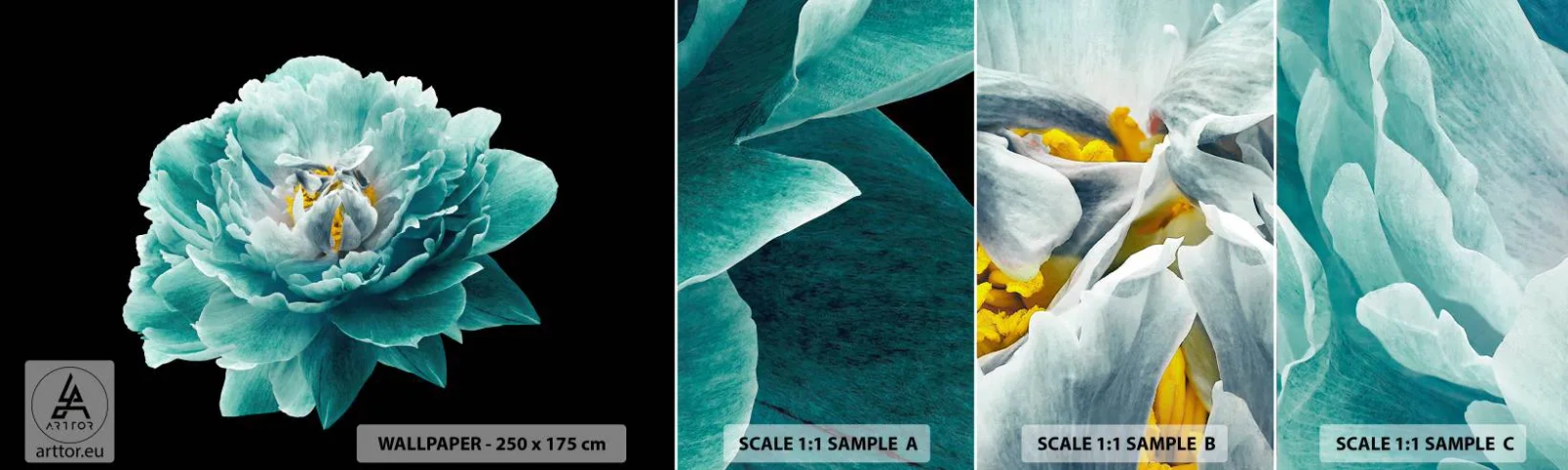 Vzor Fototapety Samolepicí Deluxe Sticker - Modré a zlaté okvětní lístky - Květ, Kvetoucí, Pivoňka - 100x30 cm