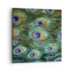 Obraz na plátně - Paví pohled - 40x40 cm