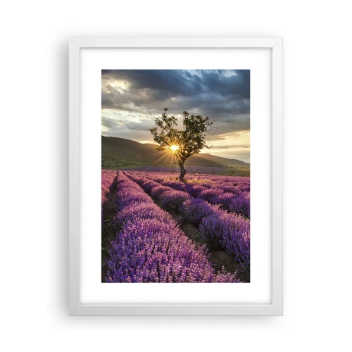 Plakát v bílém rámu - Aroma v barvě lila - 30x40 cm