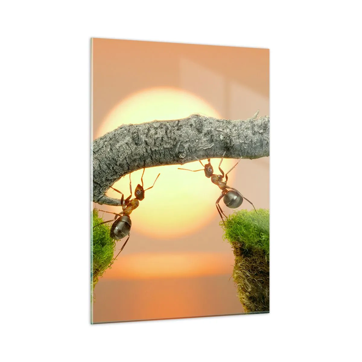 Obraz na skle - Radostná, společná práce - 50x70 cm