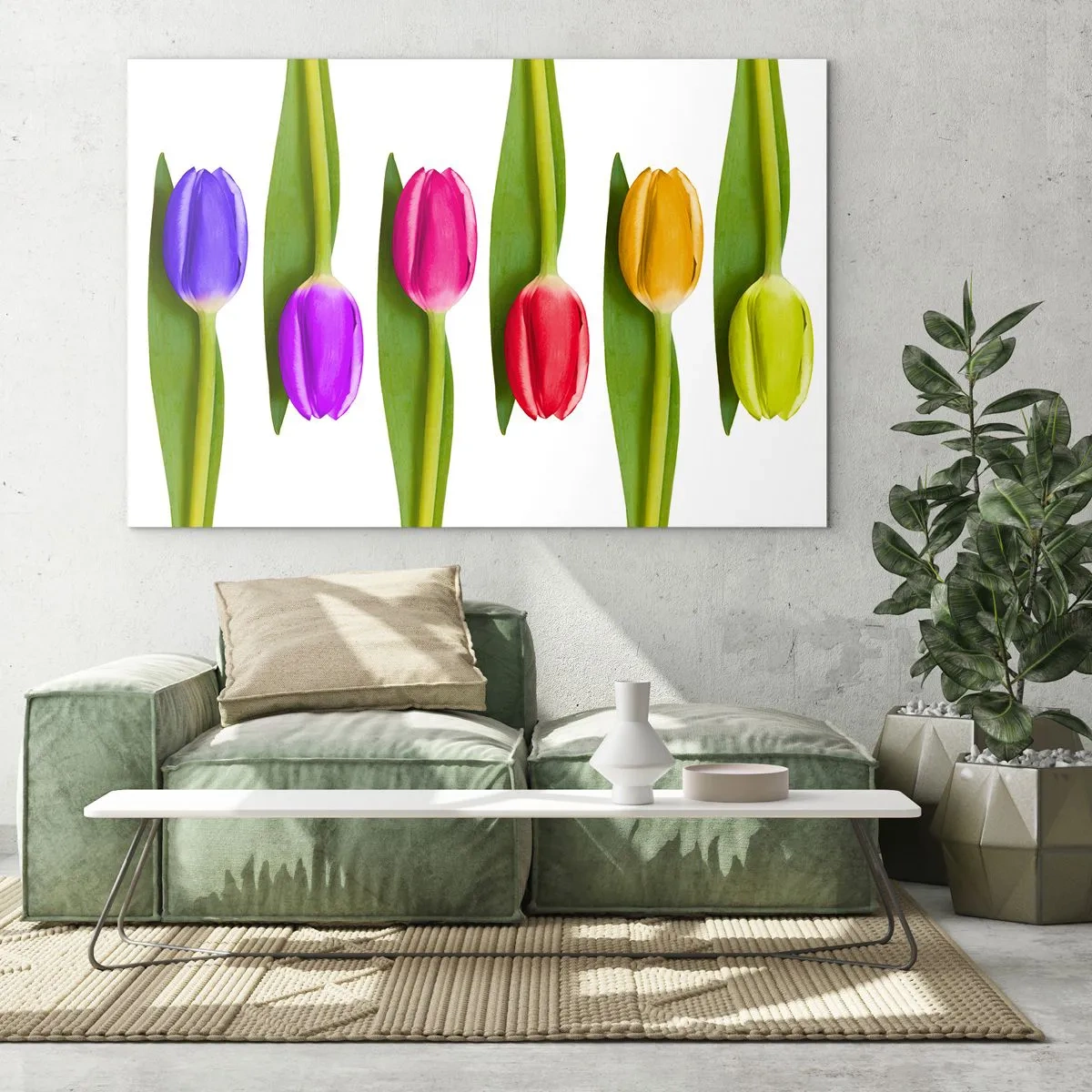 Obraz na skle - Barevné tulipány uspořádané na bílém pozadí - 70x50cm - Duhová kompozice - Moderní nástěnná dekorace do obývacího pokoje a ložnice ARTTOR