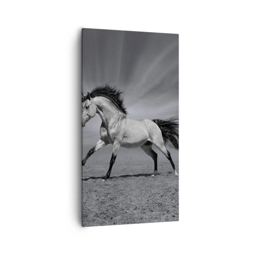 Obraz na plátně - Zrozen pro potěšení - 55x100 cm