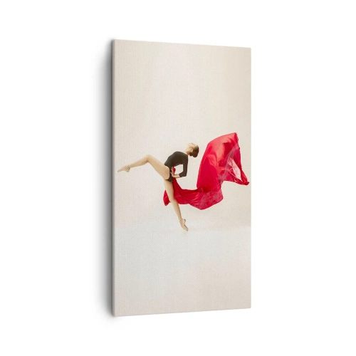 Obraz na plátně - Červené a černé - 45x80 cm