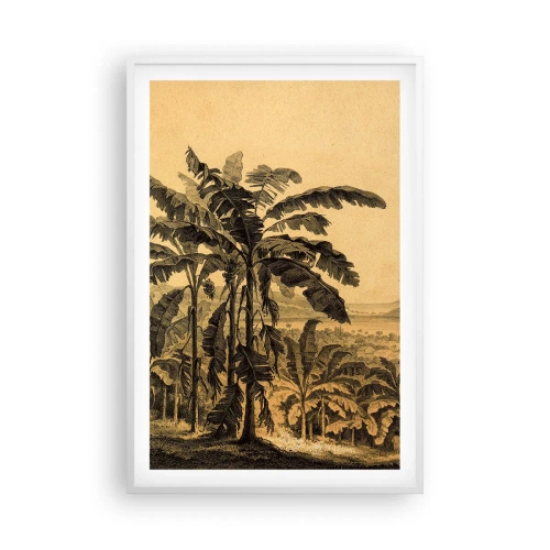Plakát v bílém rámu - V koloniálním stylu - 61x91 cm