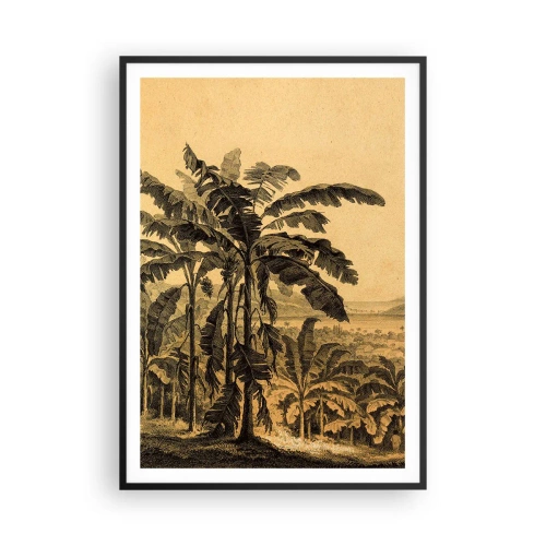 Plakát v černém rámu - V koloniálním stylu - 70x100 cm