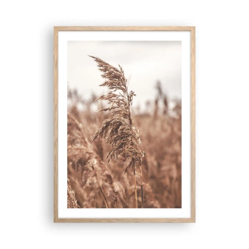 Plakát v rámu světlý dub - Na polích už je podzim - 50x70 cm