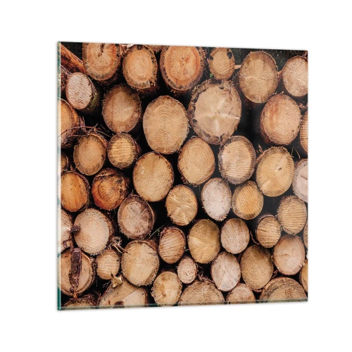 Obraz na skle - Nový začátek - 50x50 cm