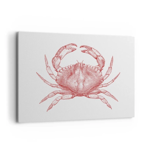 Obraz na plátně - Krab nad kraby - 120x80 cm