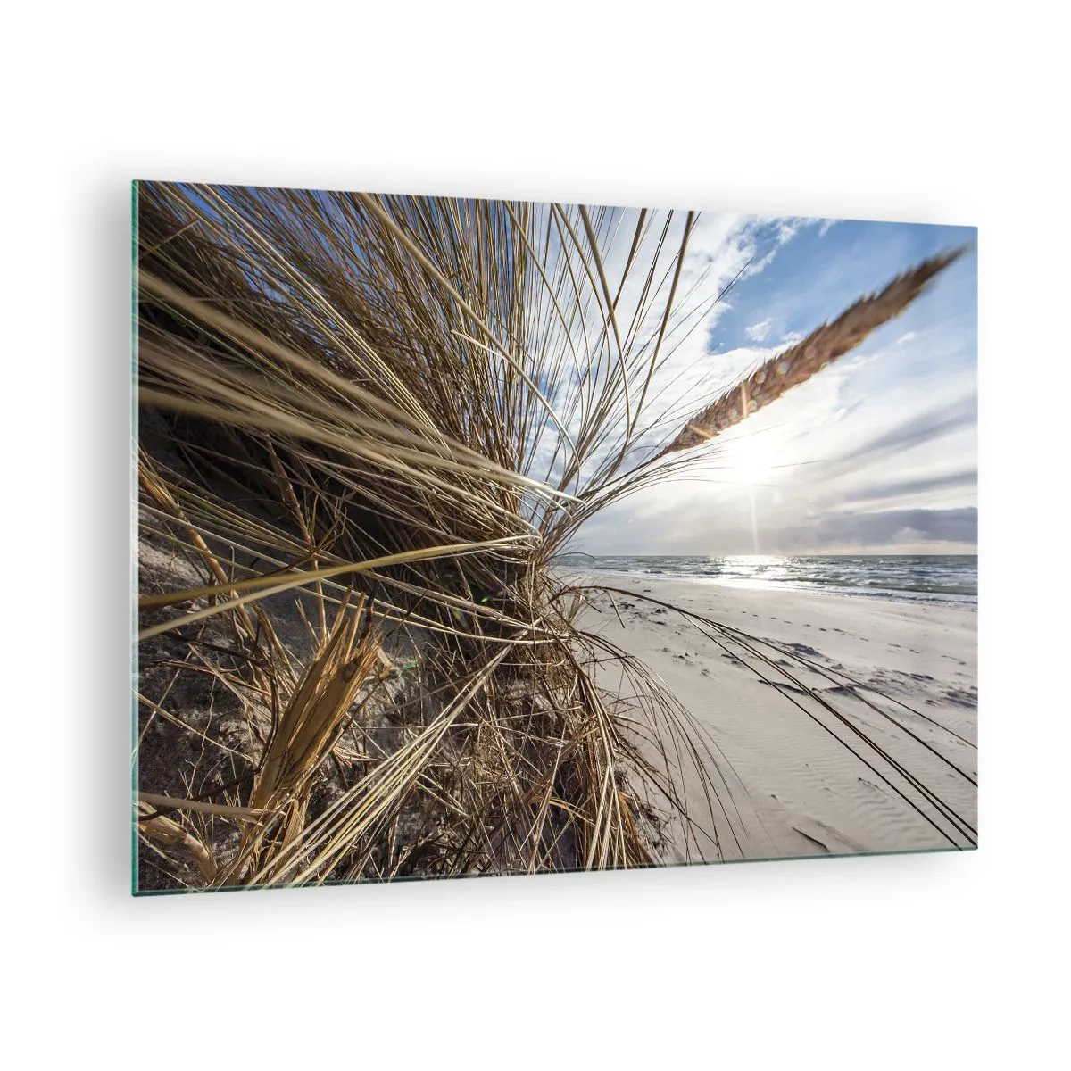 Obraz na skle - Zlatá tráva na pozadí písečné pláže a moře - 70x50cm - Setkání živlů - Moderní nástěnná dekorace do obývacího pokoje a ložnice ARTTOR