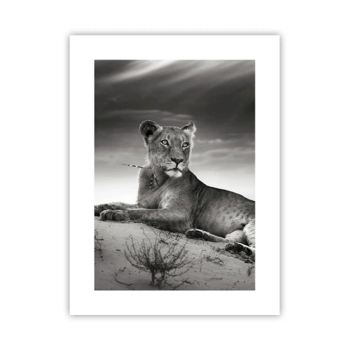 Plakát - Odpočinek královny pouště - 30x40 cm