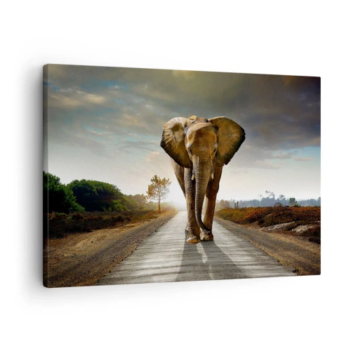 Obraz na plátně - Slon kráčející po silnici krajinou při západu slunce - 70x50cm - A vůbec ne ve skladu porcelánu - Moderní nástěnná dekorace do obývacího pokoje a ložnice ARTTOR