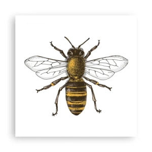 Plakát - Krásná a dobrá - 50x50 cm