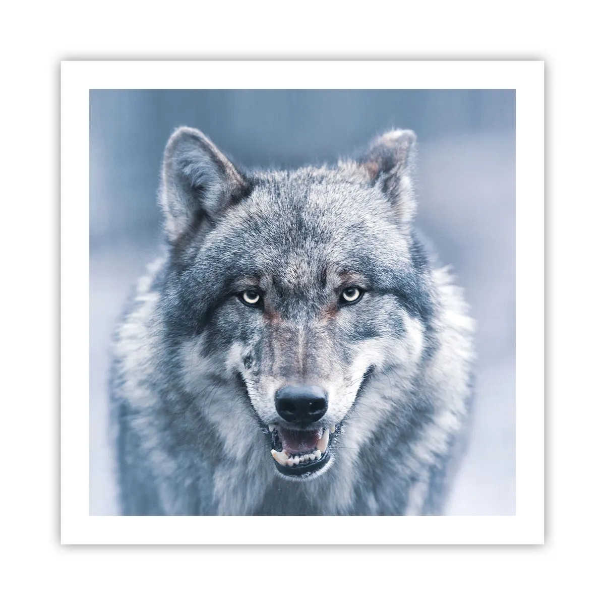 Plakát - Přijmete tuto výzvu? - 60x60 cm