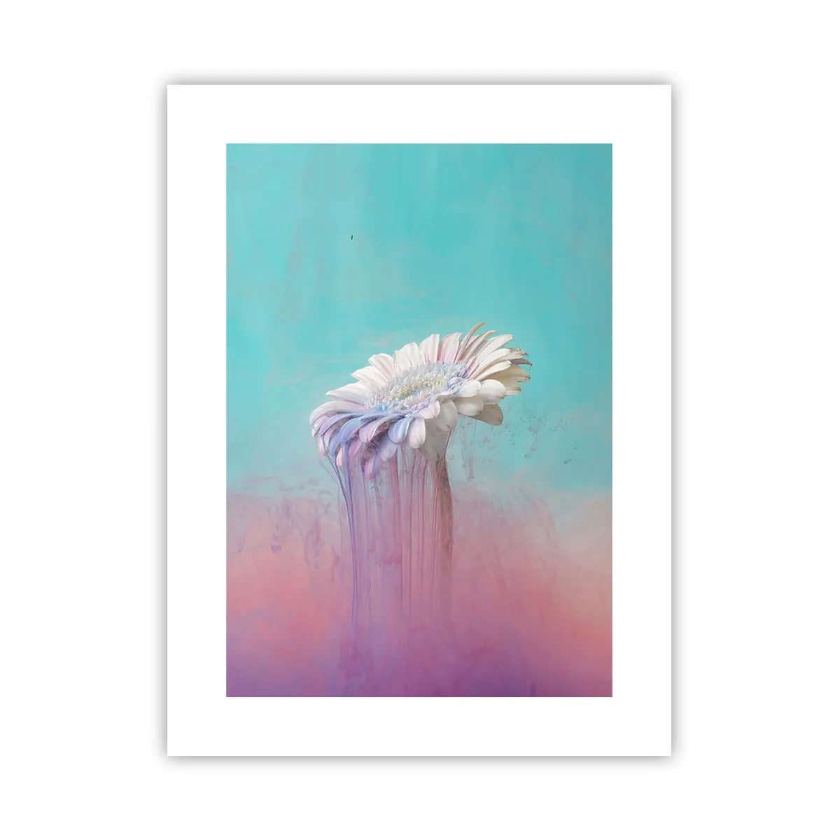 Plakát - Záhrobí květin - 30x40 cm