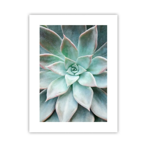 Plakát - Srdce pouště - 30x40 cm