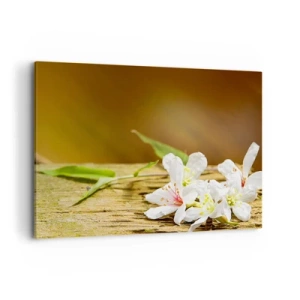 Obraz na plátně - Nevinný slib - 120x80 cm