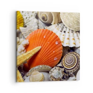 Obraz na plátně - Poklady oceánu - 70x70 cm