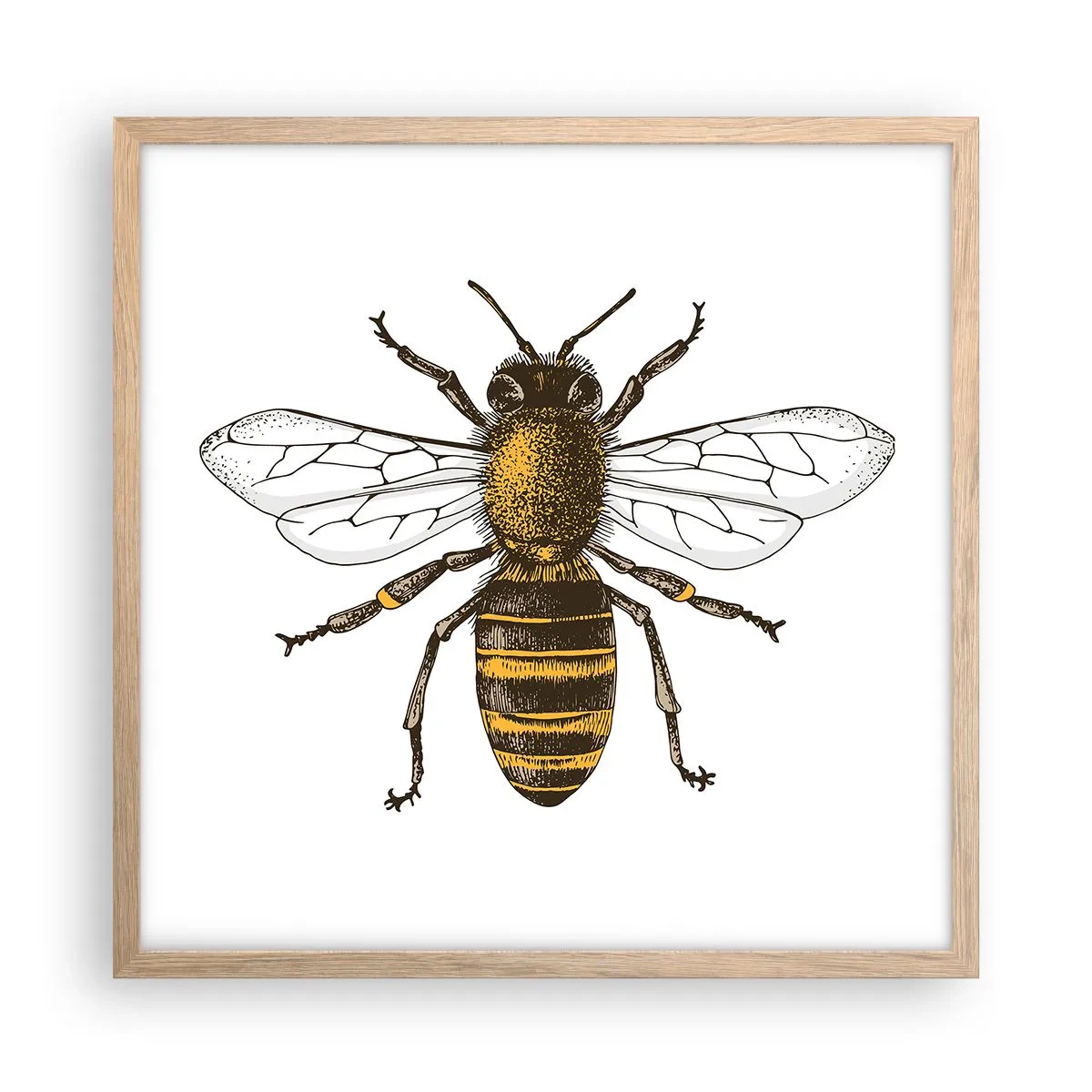 Plakát v rámu světlý dub - Krásná a dobrá - 50x50 cm