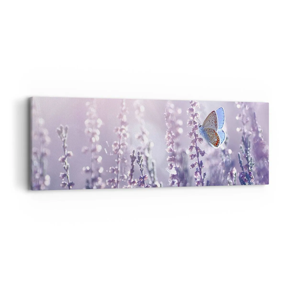 Obraz na plátně - Polibek motýla - 90x30 cm