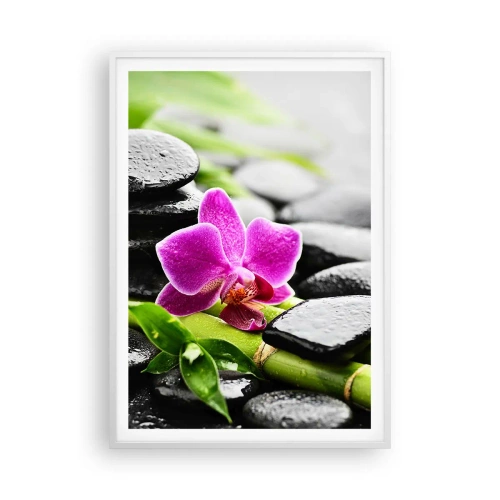 Plakát v bílém rámu - V klidné rovnováze - 70x100 cm